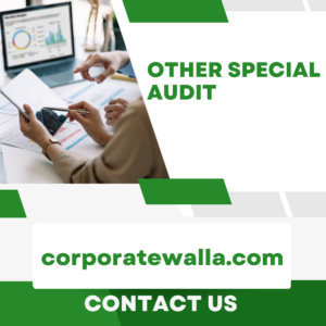 OTHER SPECIAL AUDIT