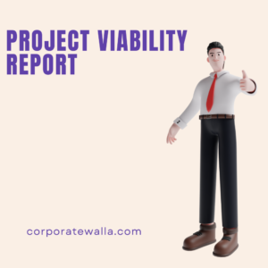 PROJECT VIABILITY REPORT